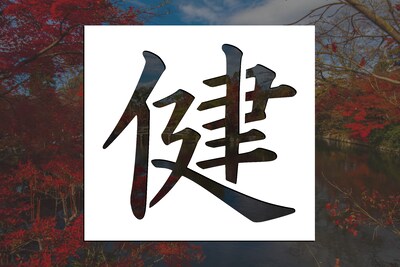 Health | Kanji Reusable Stencil (Many Sizes) - image1